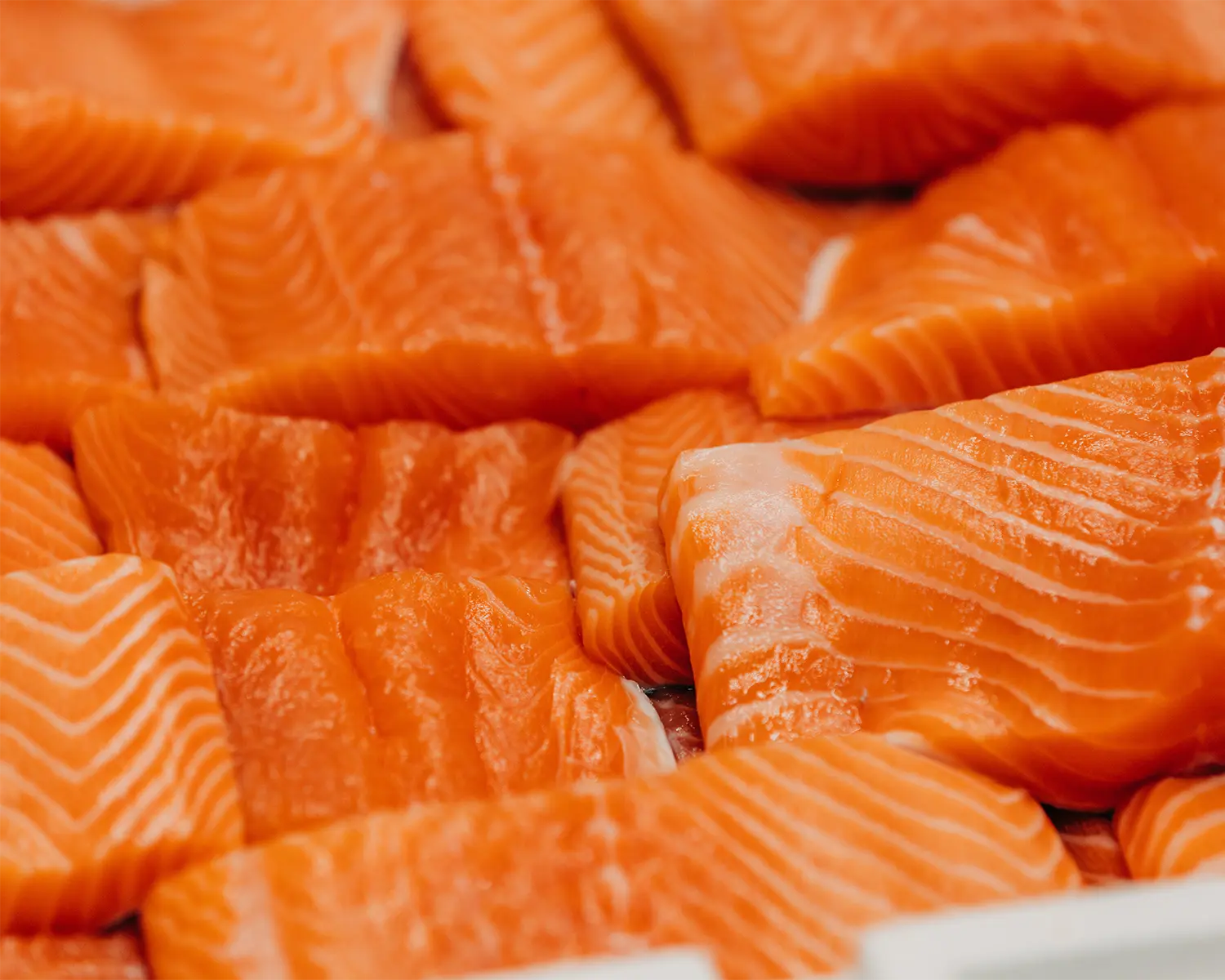Salmon Fillet