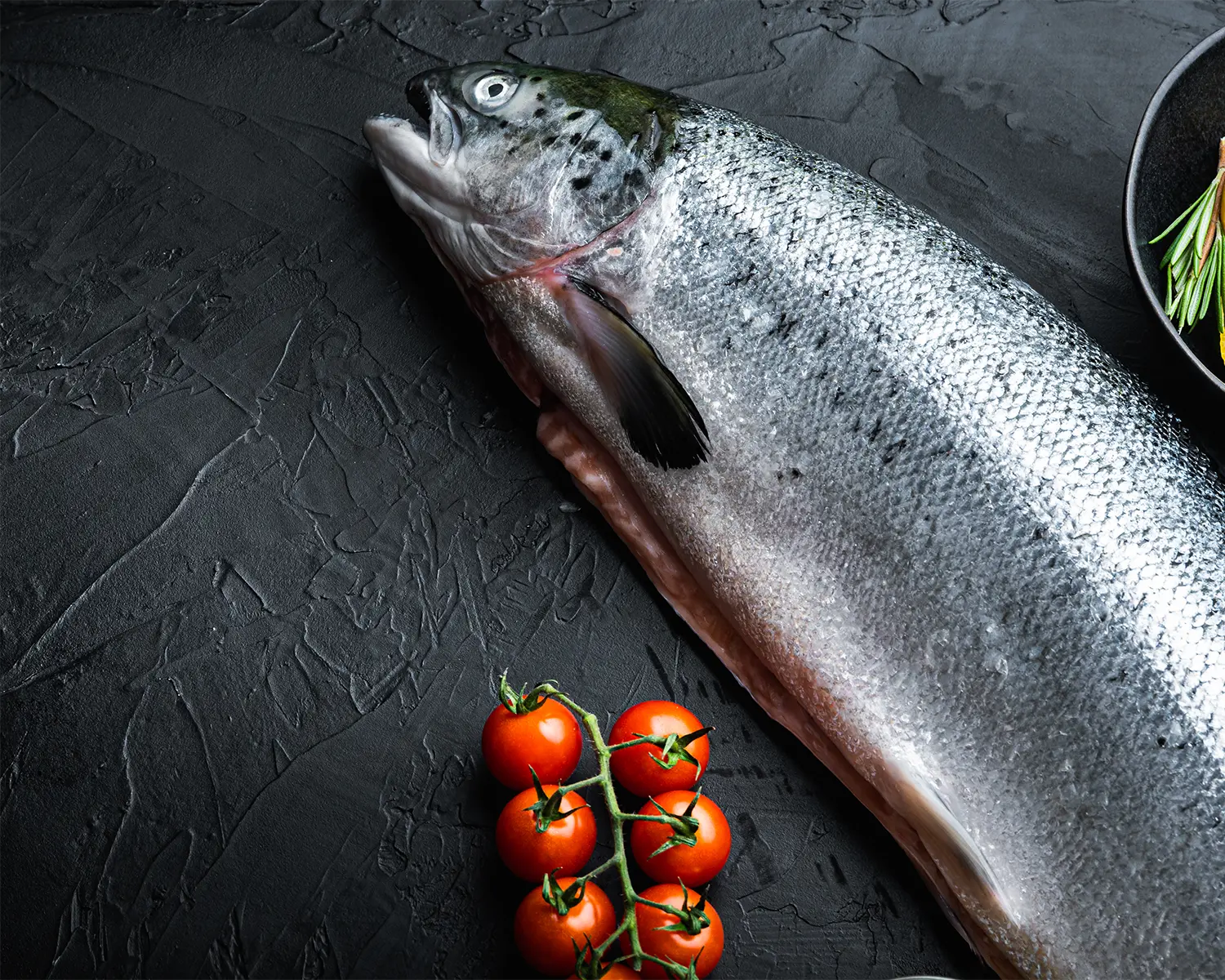 Fresh salmon on a preparation surface