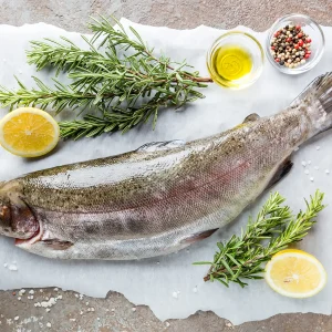 Trout Salmon