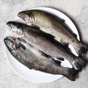 Trout Salmon