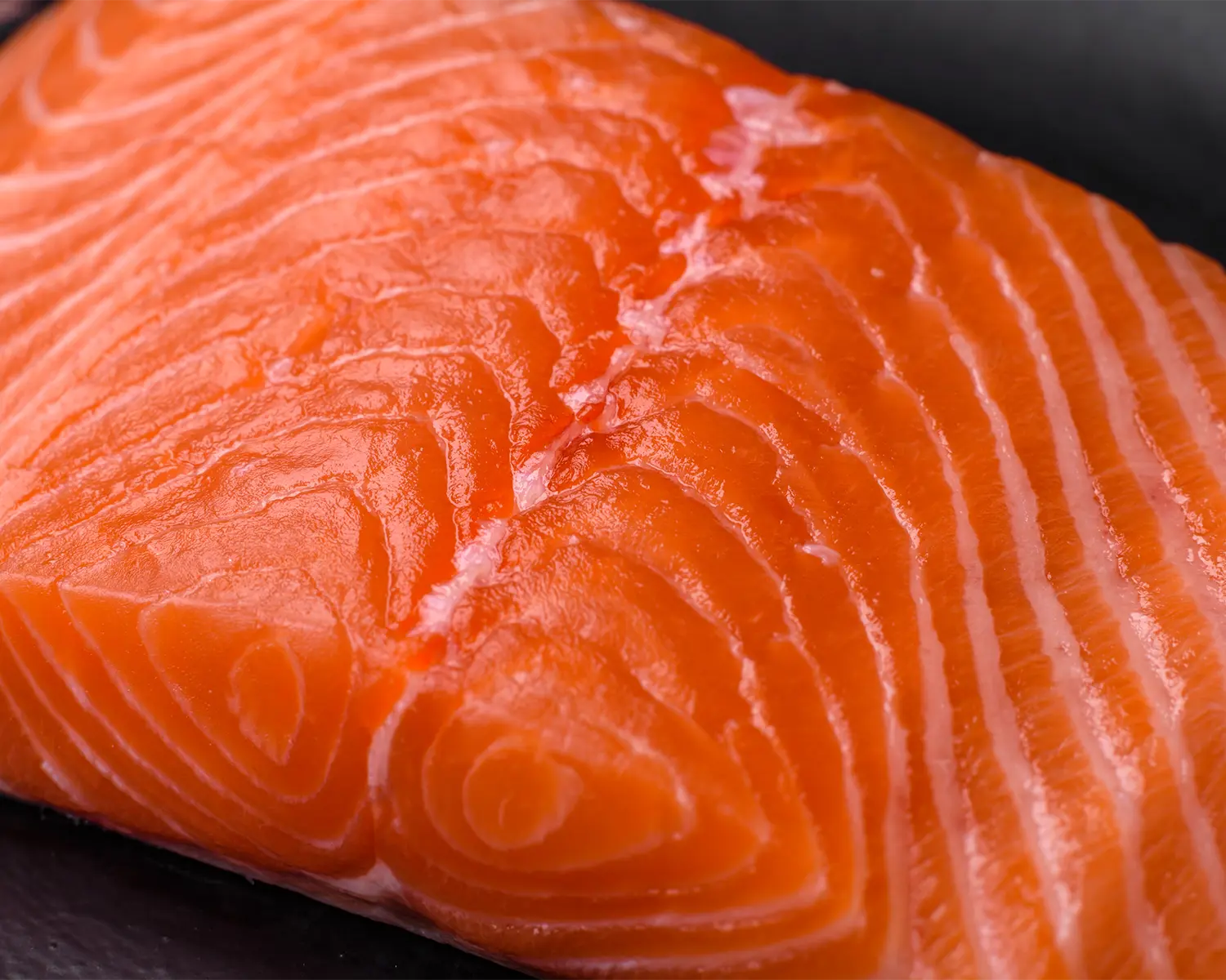 Salmon Fillet