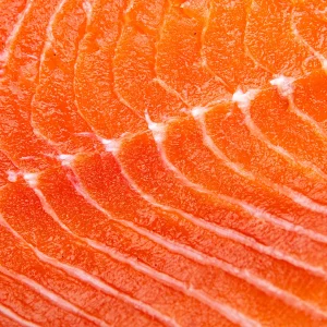 Salmon Fillet
