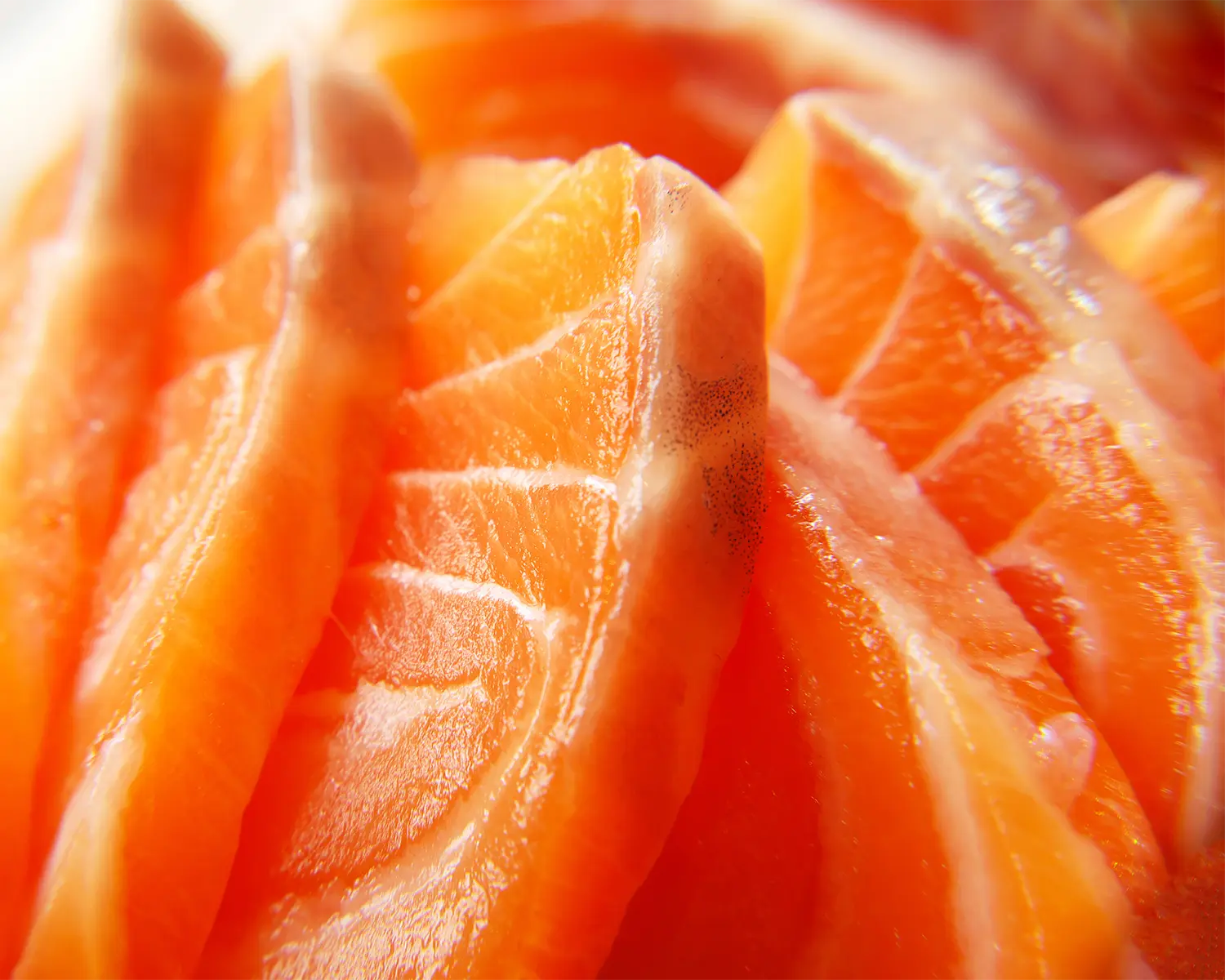 Salmon Sashimi